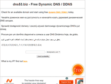 Tablet Screenshot of dns53.biz
